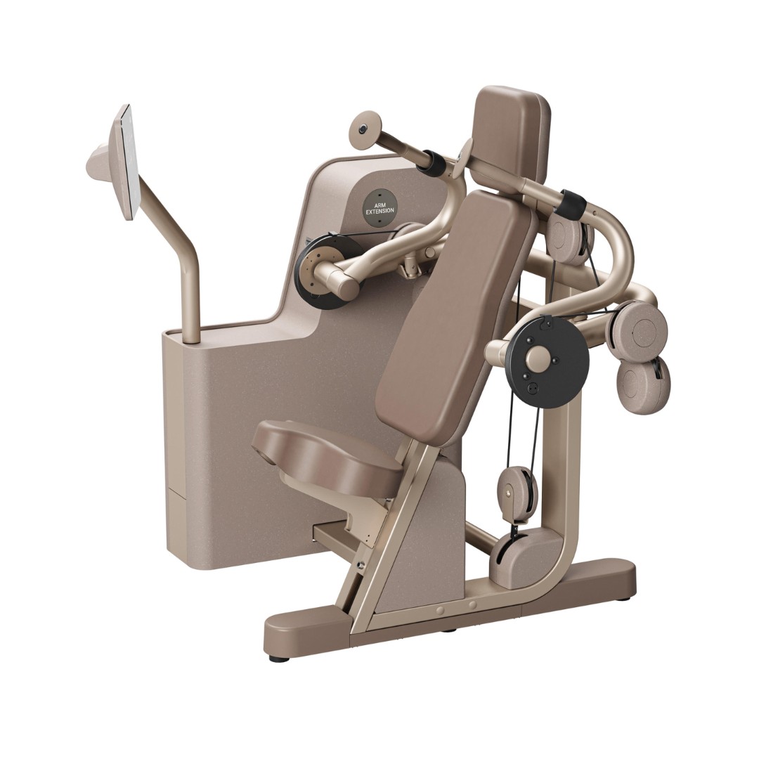 Трицепс тренажер Technogym Biostrenght ARM EXTENSION Sand Stone